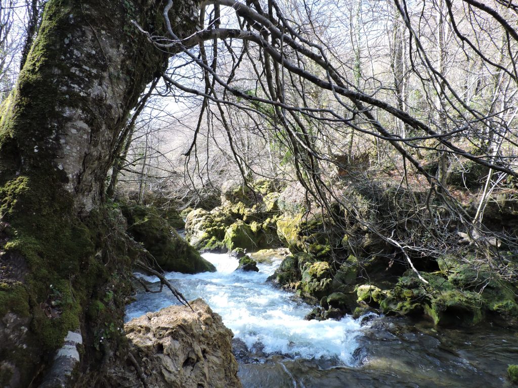 Navarra Parque Naturales