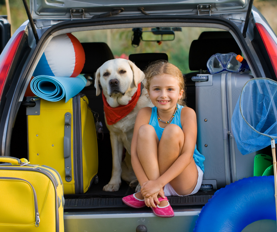 Viajar de camping con vuestro perro es una buenísima idea